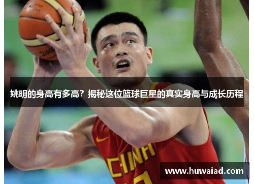 姚明的身高有多高？揭秘这位篮球巨星的真实身高与成长历程