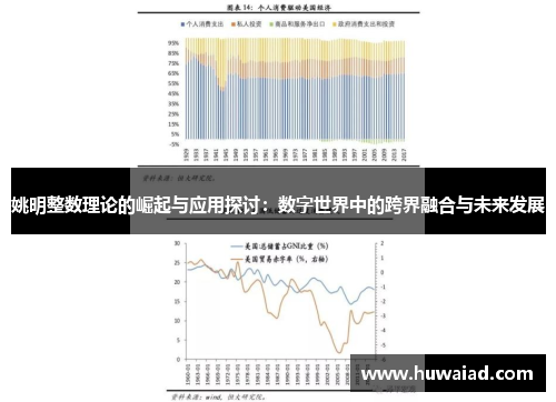 姚明整数理论的崛起与应用探讨：数字世界中的跨界融合与未来发展