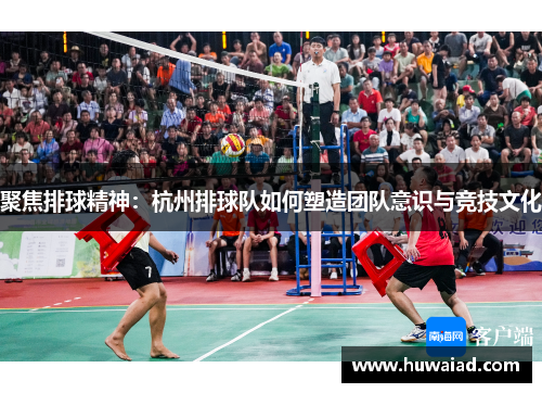 聚焦排球精神：杭州排球队如何塑造团队意识与竞技文化
